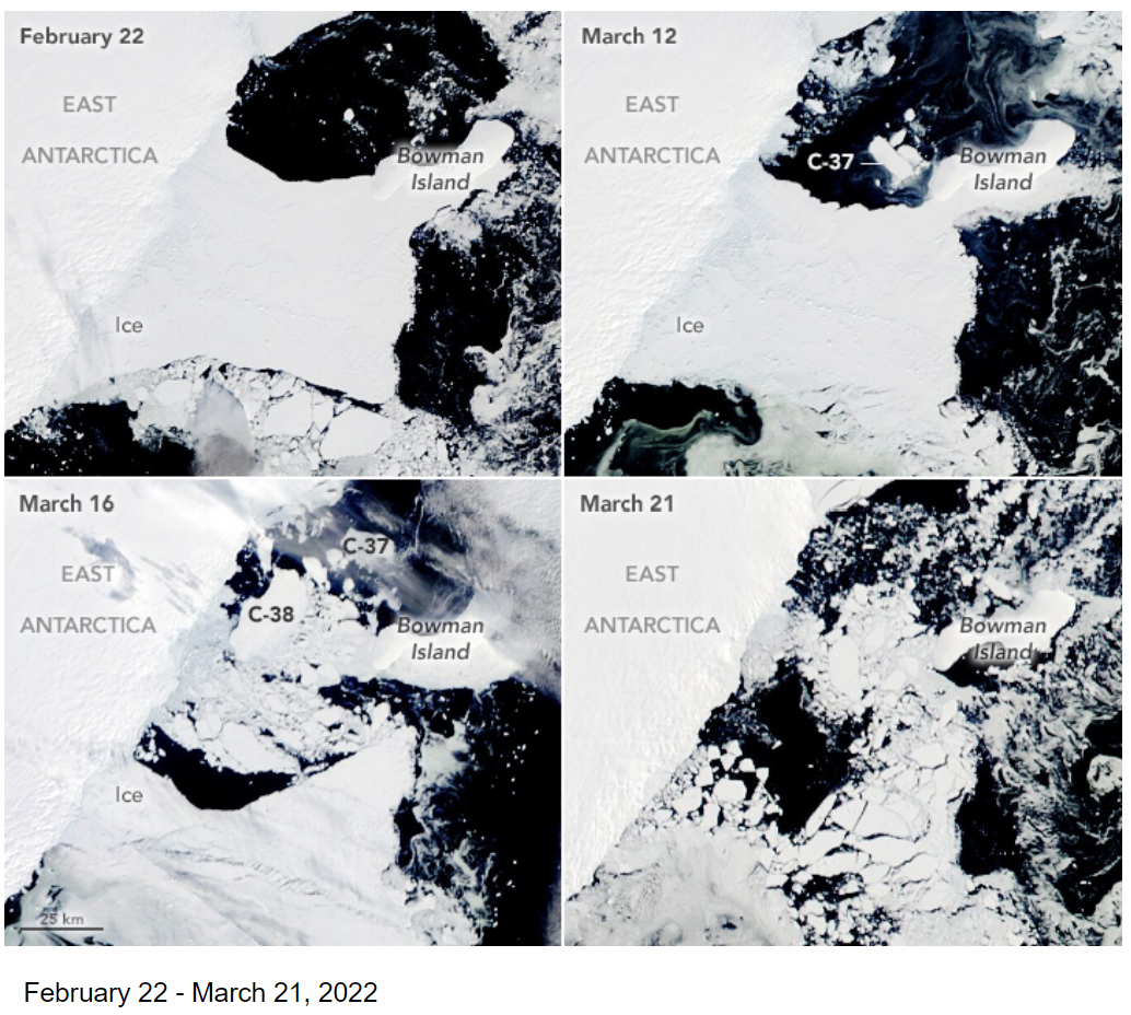 Collapse of Glenzer Conger Ice Shelf in East Antarctica, Spring 2022