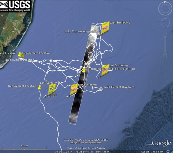 mission overlay map showing track of gliders